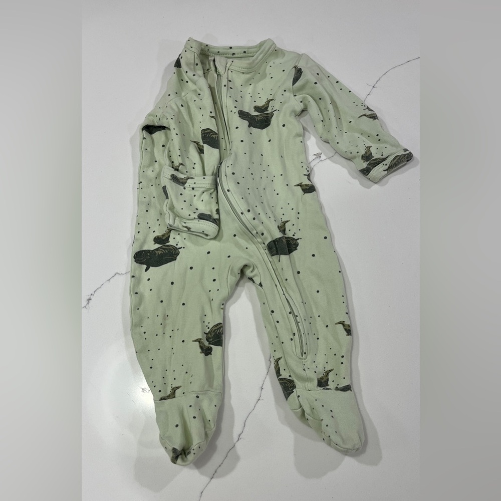 Kate Quinn Zip Footie Onesie, Green Beluga 3-6M